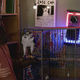 Adam, Beth (Comedy Central)